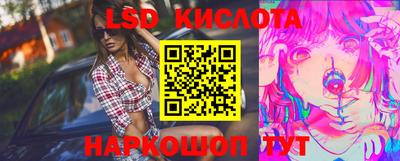 мдпв Гатчина