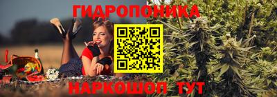 мдпв Гатчина