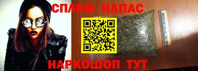 мдпв Гатчина