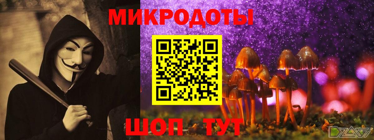 Псилоцибиновые грибы Psilocybine cubensis  Вход с VPN  Мичуринск 
